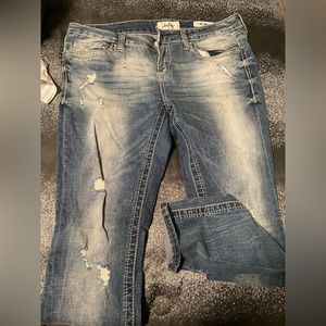 Daytrip Lynx Skinny Jean